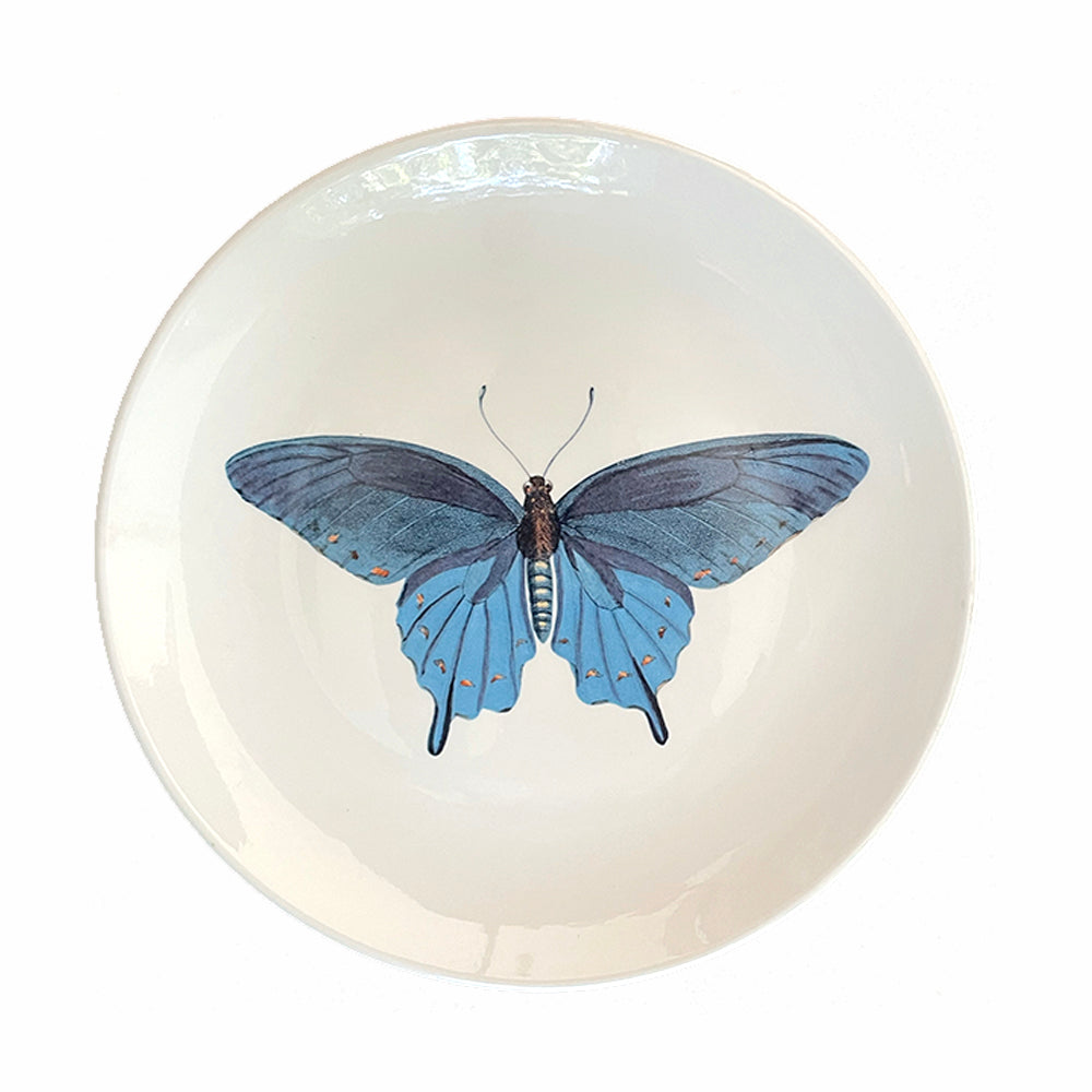 Plato Mariposa Azul 21 cm