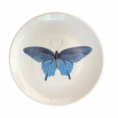 Plato Mariposa Azul 21 cm