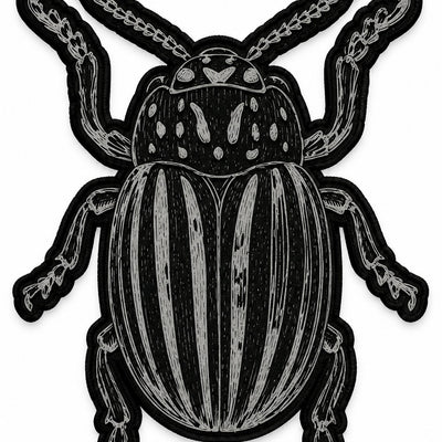 Escarabajo Sello de goma