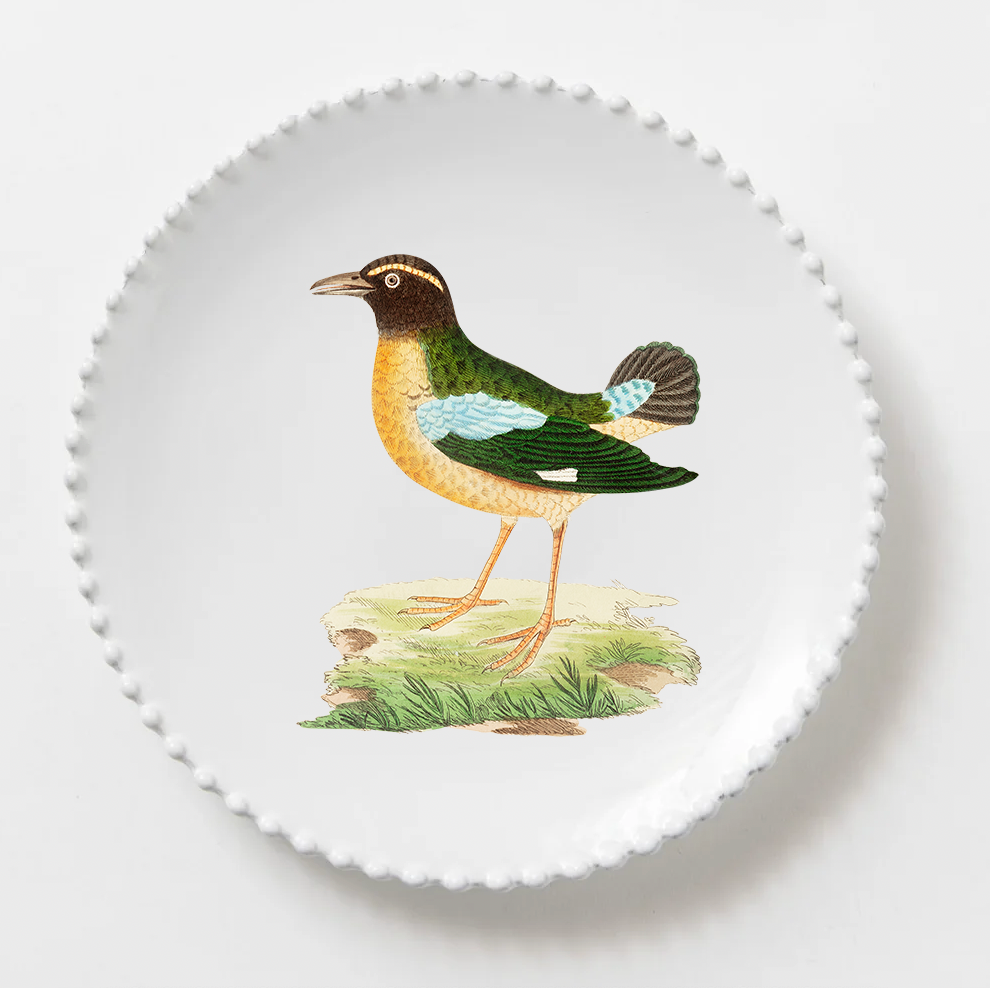 Plato BIRDS Lago