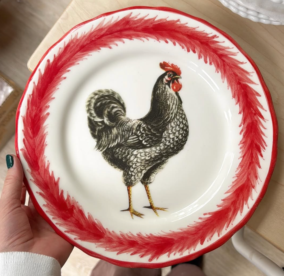 Plato Gallo