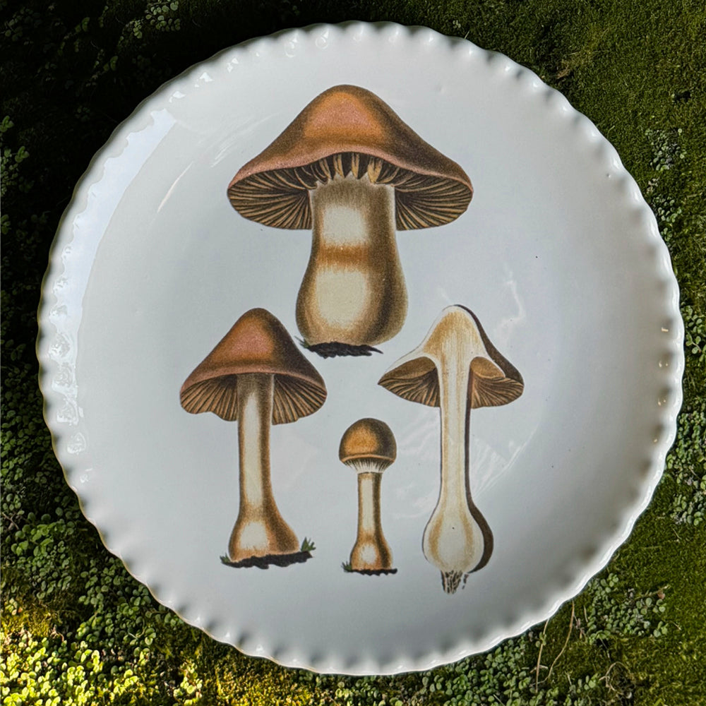 Plato Serie Hongos 3