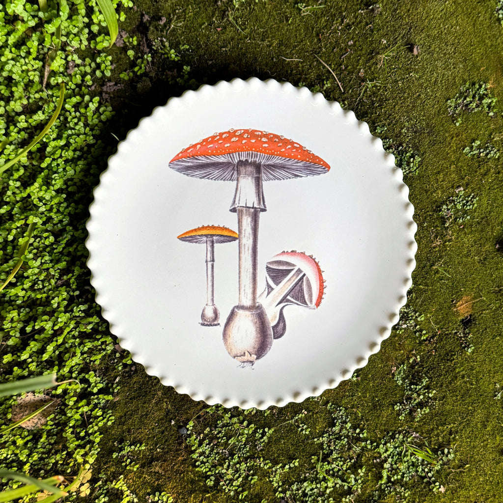 Plato Serie Hongos 1