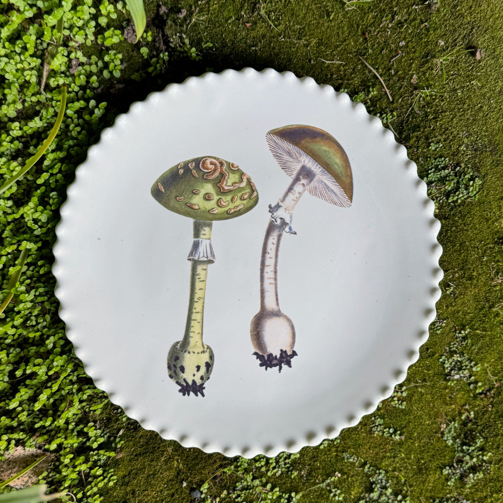 Plato Serie Hongos 2